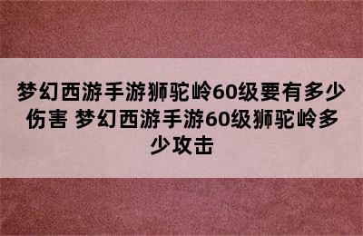 梦幻西游手游狮驼岭60级要有多少伤害 梦幻西游手游60级狮驼岭多少攻击